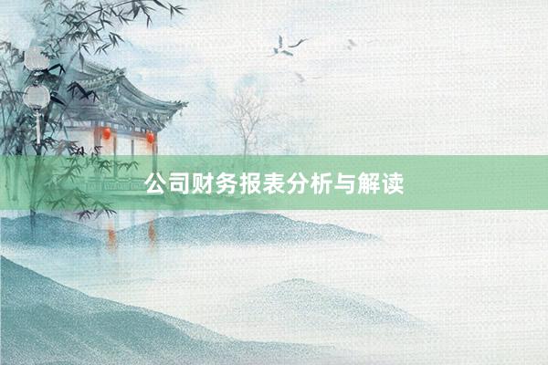 公司财务报表分析与解读